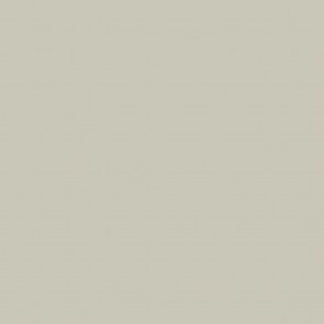 shw-91070-14380 ΧΡΩΜΑ ΞΥΛΟΥ LITTLE GREENE | FRENCH GREY DARK 163 LITTLE GREENE - FRENCH GREY DARK (163) 2,5LT